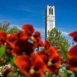 North Carolina State University