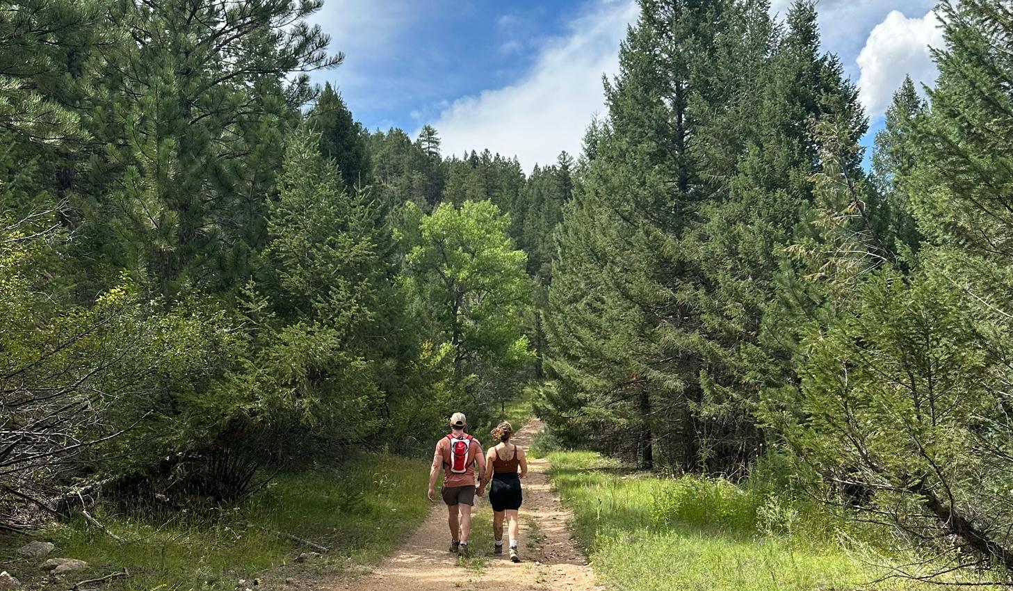 The Wedding Website of Hailey Olsen and Zachery Bradley