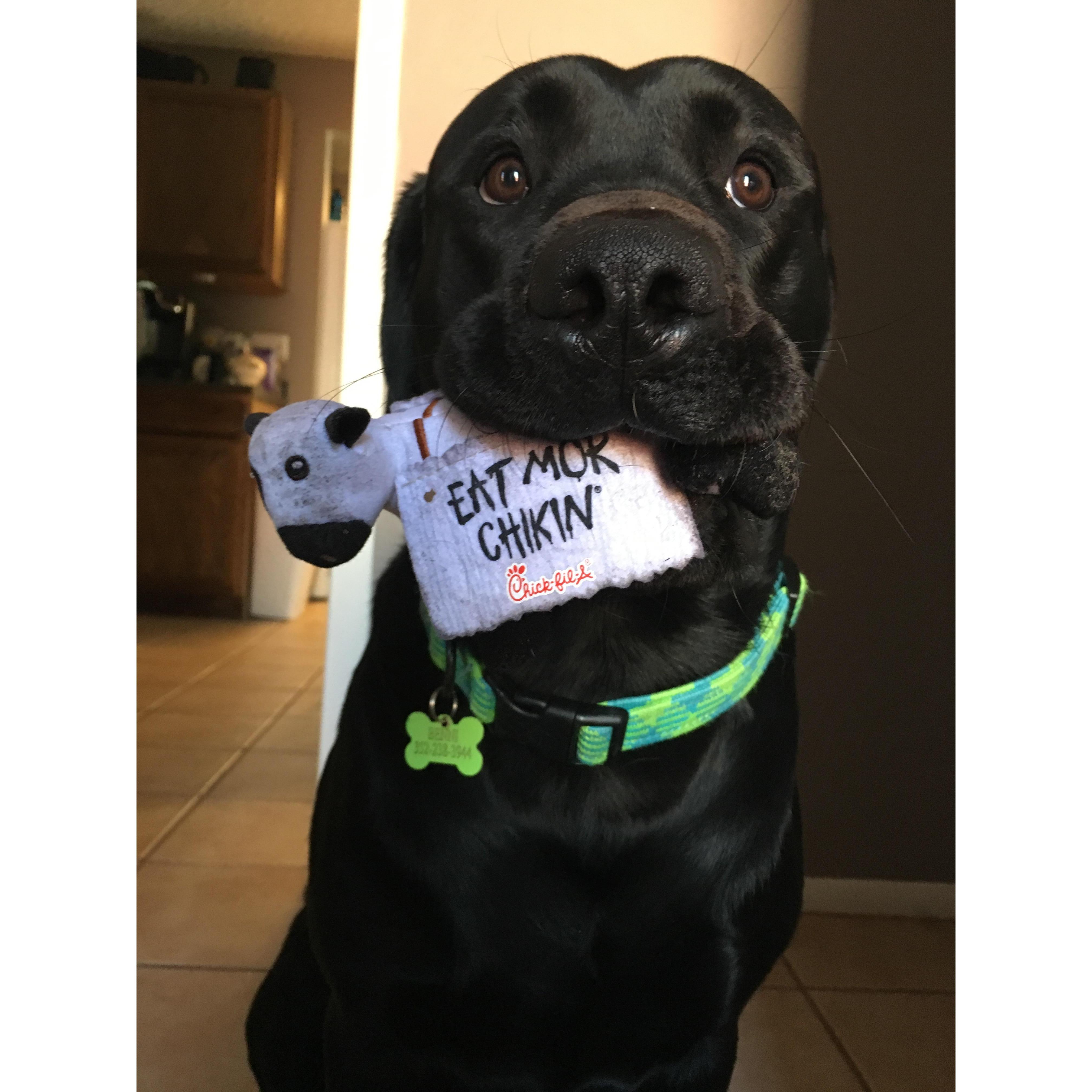 Our pup!