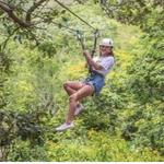 Zipline, Animal Park and Snorkel Adventure
