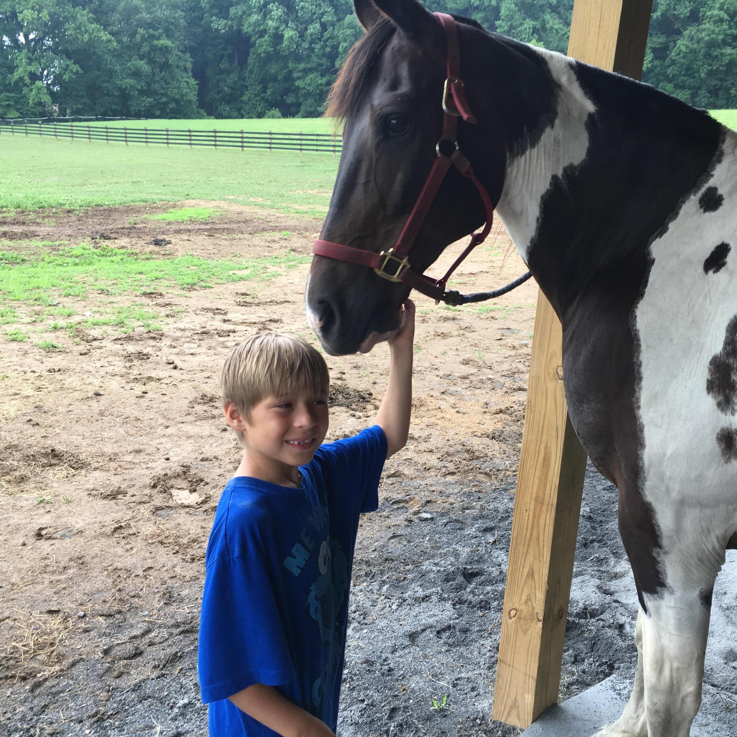 Nathan meeting Scout!