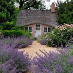 Planting Fields Arboretum