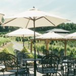 Linville Falls Winery