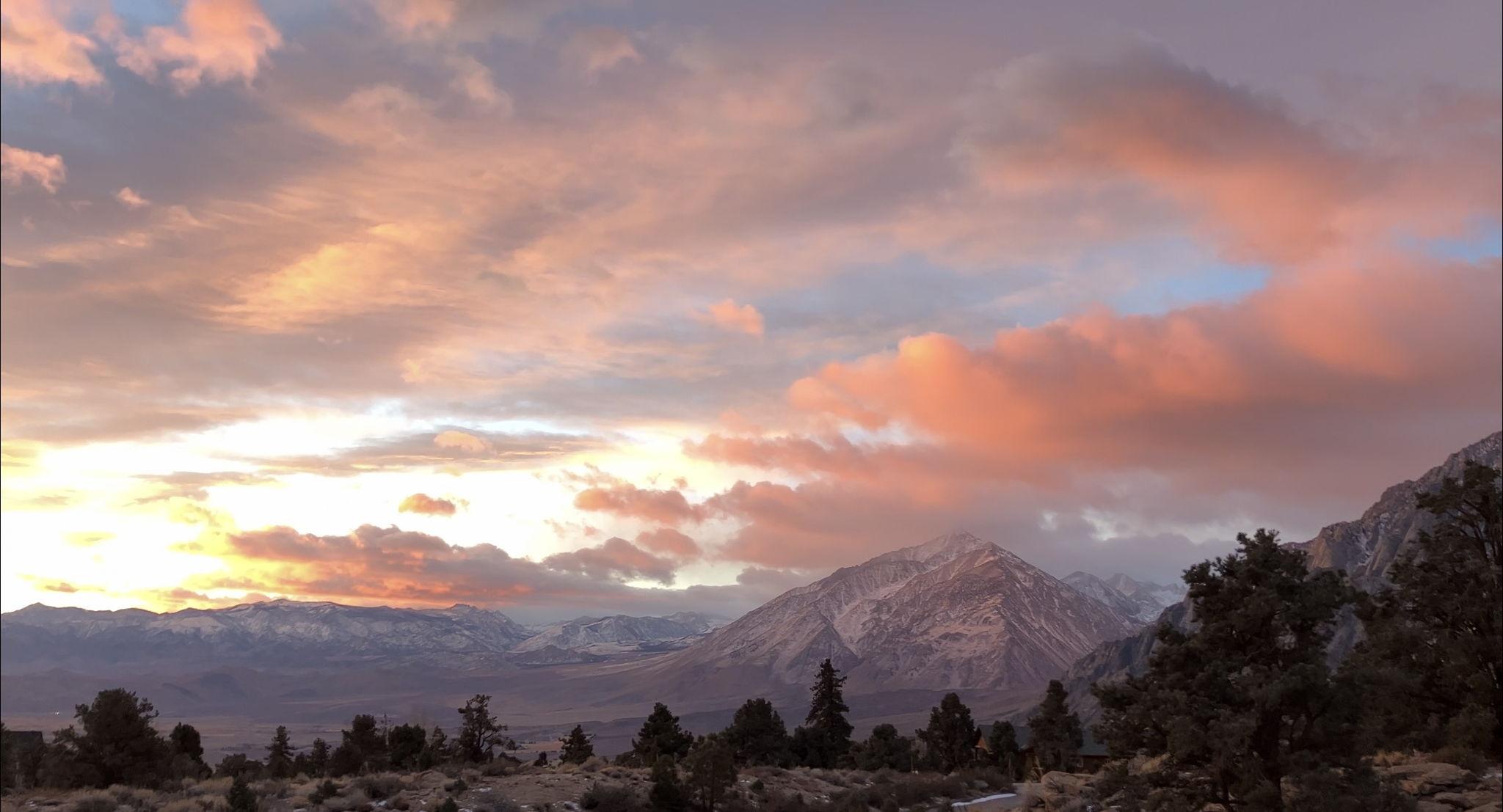 The Wedding Website of Dylan Trimarchi and Summer Kniveton