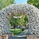 Take Photo at Antler Arch