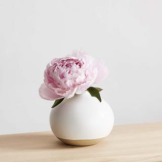 Sawyer Sandblasted Ceramic Vase