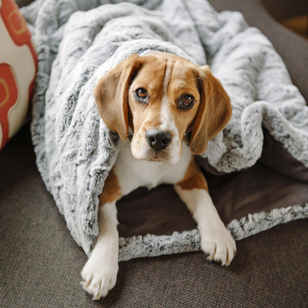 P.L.A.Y. Snuggle Hundebett – XL, Faux Fur & Canvas, Mit Recycelter Füllung, Maschinenwaschbar