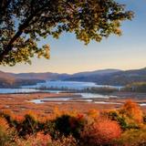 Boscobel House and Gardens