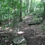 Matson Hill Trail