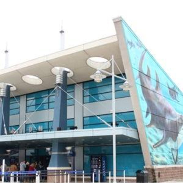 Newport Aquarium