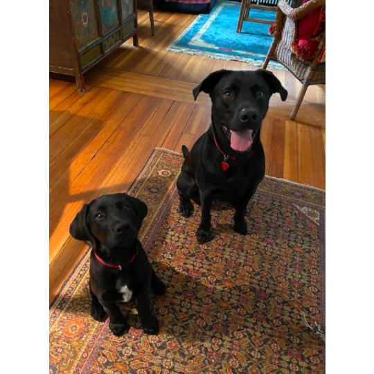 Our favorite boys!