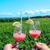 Brys Estate Vineyard & Winery