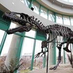 North Carolina Museum of Natural Sciences