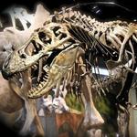 Perot Museum of Nature and Science