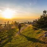 Hiking
