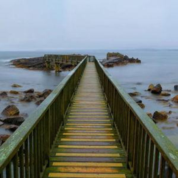 Art Collection - Saving for Peter Lik