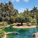 Honolulu Zoo