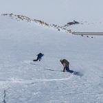 Skiing or Snowboarding