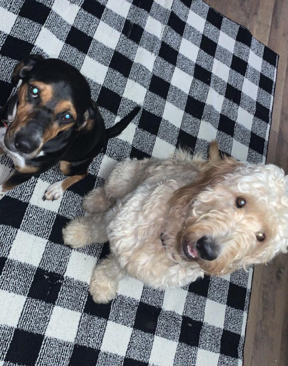 Added Another Family Member!!!!!!