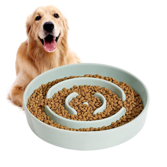 Havniva Ceramic Slow Feeder Dog Bowl for Medium and Large Breed, Anti-Gulping, Pet Slow Feeder Bowl, Stop Bloat, Preventing Choking (Light Green, 8in Bowl)