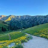 Albion Meadows Trail
