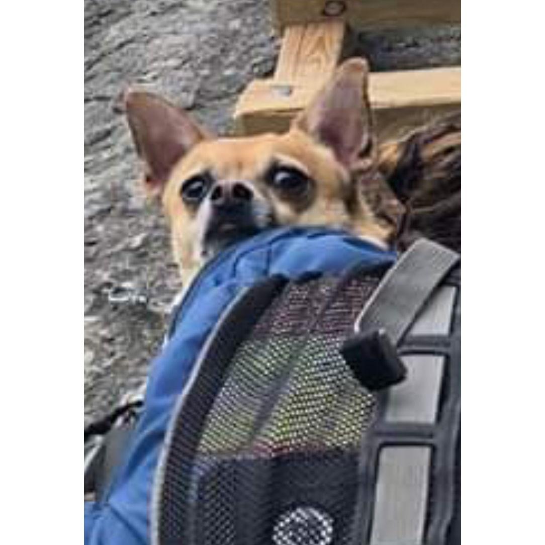 We've travelled far and wide, sometimes going extra lengths to bring Lyla with us.