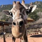 Cheyenne Mountain