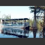 Fish Eagle Wildlife Tours