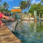 Robbies of Islamorada