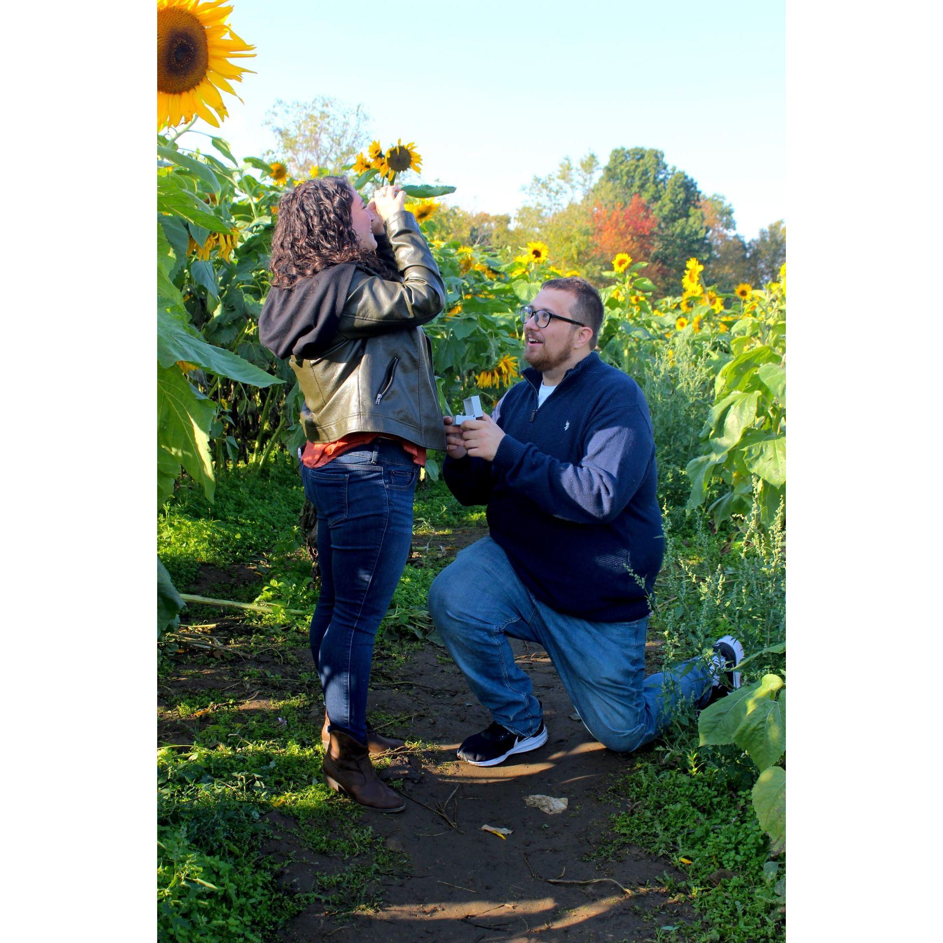 Taken at Outhouse Orchards North Salem, NY
Photos by Heather Temple