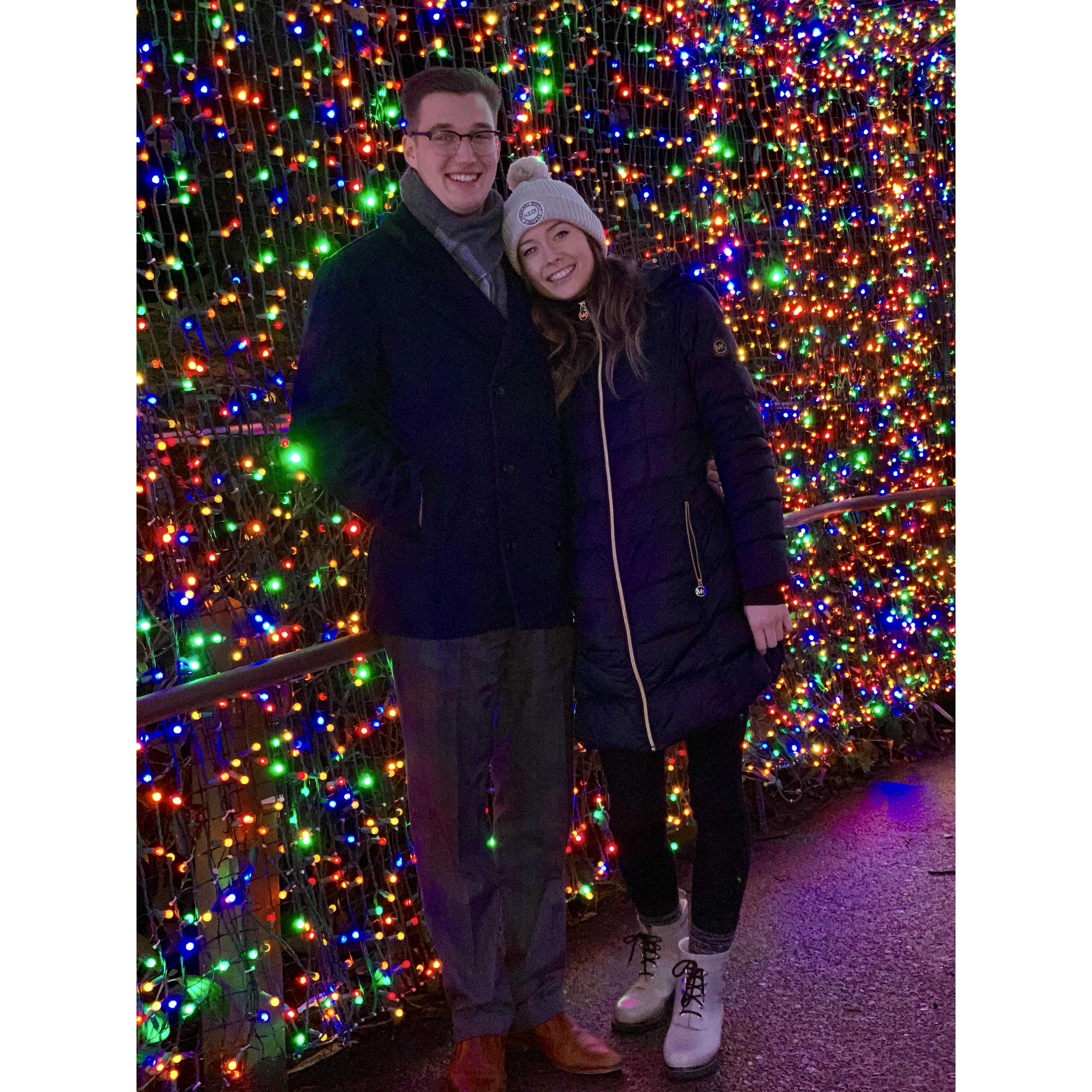 Zoolights!