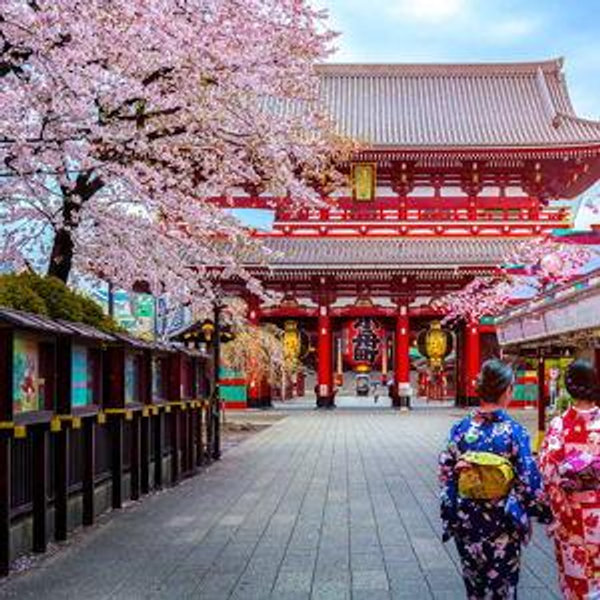 Honeymoon to Japan!