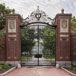 Harvard University