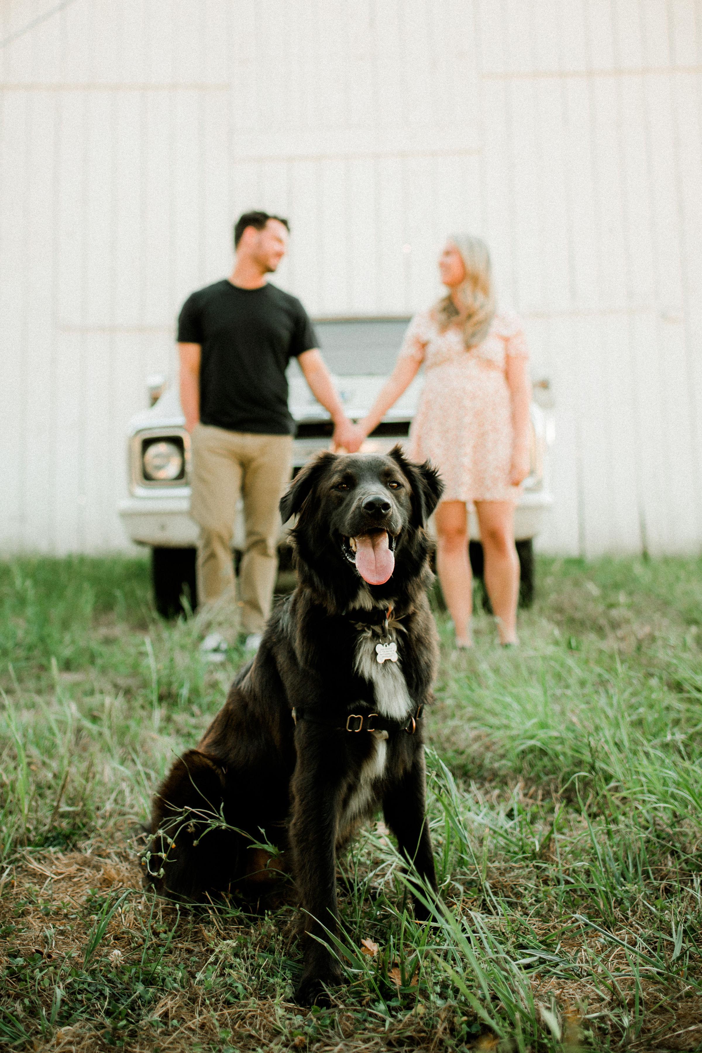 The Wedding Website of Leigh-Ann Macmullen and AJ Comeau