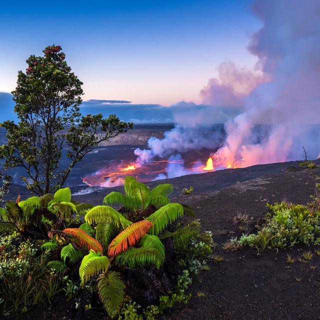 Hawaii Volcanoes National Park entry & Jeep rental!