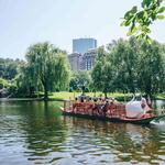 A Swan Boat Ride In The Boston Public Gardens