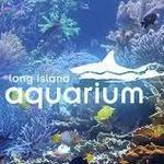 Long Island Aquarium
