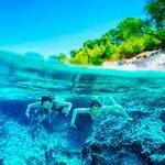 Diving