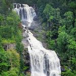 Whitewater Falls