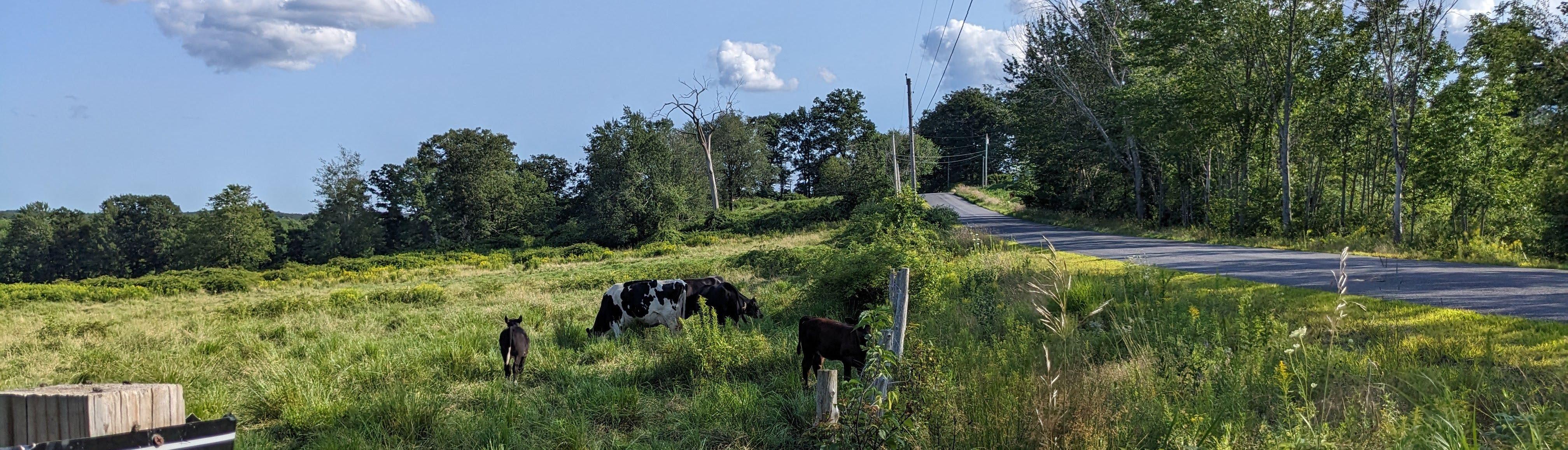 The Wedding Website of Emily Sullivan and Griffin Sherry