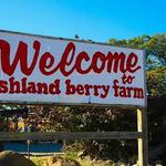 Ashland Berry Farm Inc