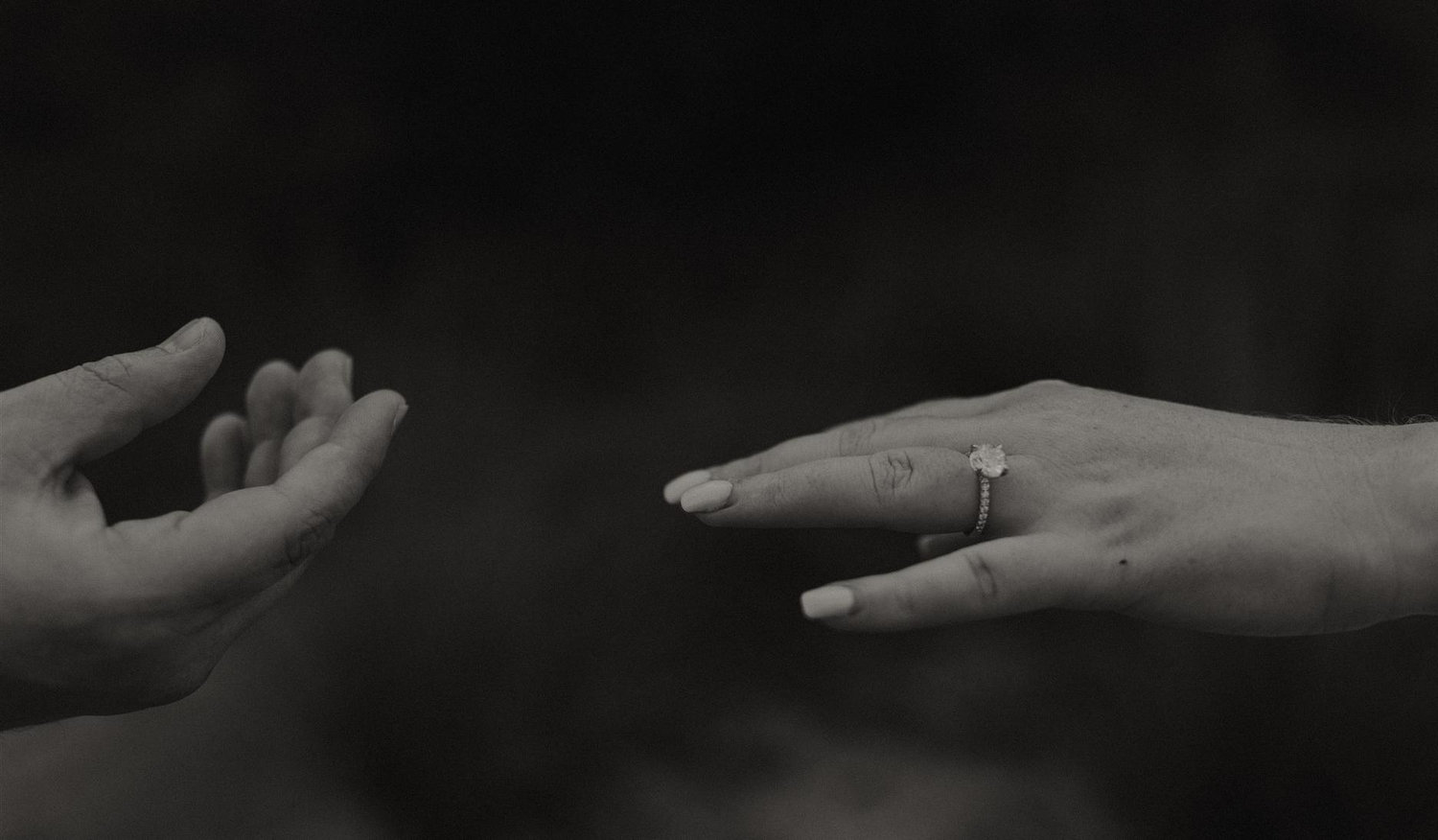 The Wedding Website of Haley Rhea and Daren Sparks
