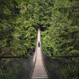 Lynn Canyon Suspension Bridge