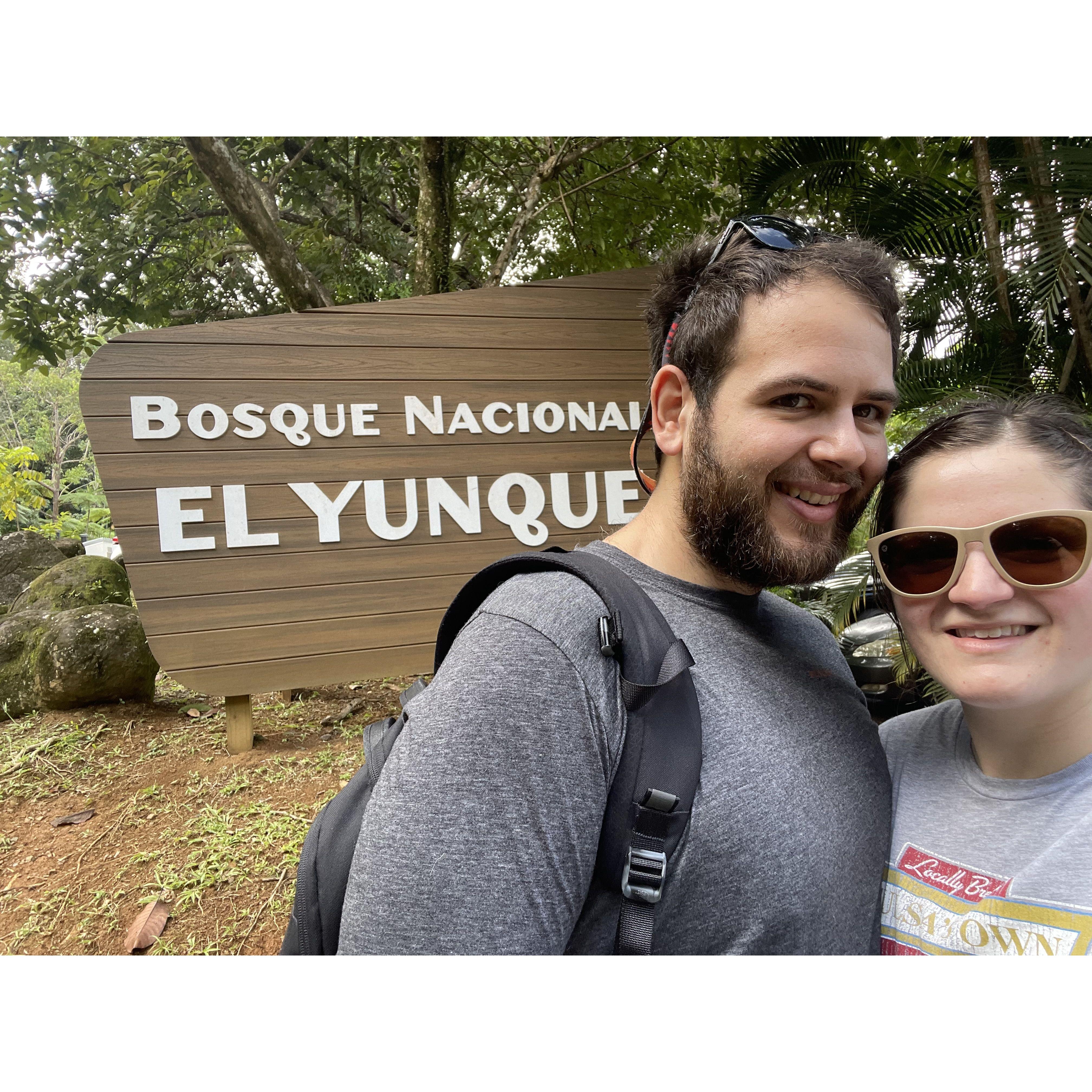 Puerto Rico, El Yunque National Forest, 2024