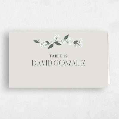 Sage Mist, Grey Wedding Place Card - Bellis