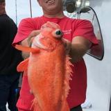 Yankee Fleet Deep Sea Fishing