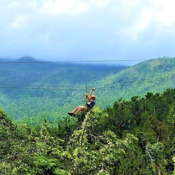 Ziplining in the Jungle
