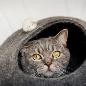 Pet bed / Cat bed / Cat cave / puppy bed / cat house / pet furniture / cat nap cocoon. Custom color felted cat bed XS, S, M, L or XL sizes
