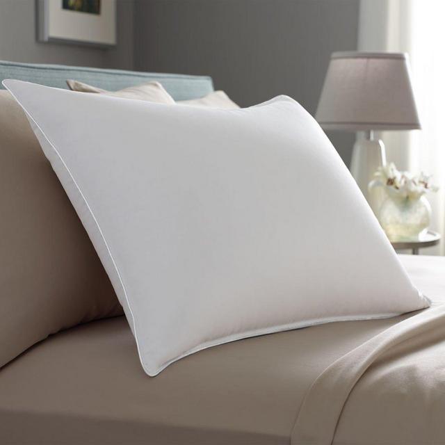 Pacific Coast Touch of Down King Size 2-Pillow Set with 2 King Size Pillowtex Pillow Protectors