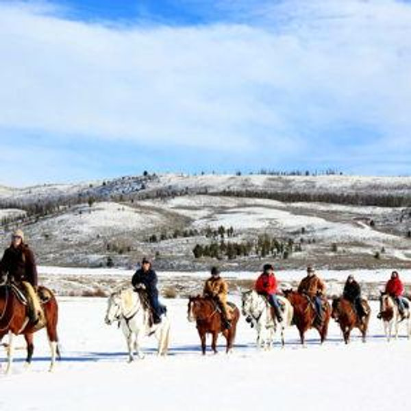 Horseback Riding